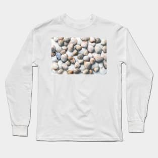 Seashells in Pastel Tones Long Sleeve T-Shirt